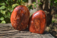 Polished Carnelian Standing Free Forms x 2 From Madagascar - Toprock Gemstones and Minerals
