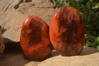 Polished Carnelian Standing Free Forms x 2 From Madagascar - Toprock Gemstones and Minerals