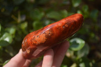 Polished Carnelian Standing Free Forms x 2 From Madagascar - Toprock Gemstones and Minerals