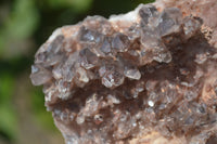 Natural Red Hematoid Quartz Cluster x 1 From Zambia - Toprock Gemstones and Minerals