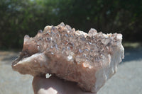 Natural Red Hematoid Quartz Cluster x 1 From Zambia - Toprock Gemstones and Minerals