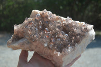 Natural Red Hematoid Quartz Cluster x 1 From Zambia - Toprock Gemstones and Minerals