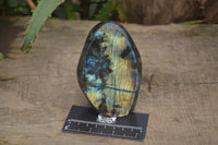 Polished Labradorite Standing Free Forms x 2 From Madagascar - Toprock Gemstones and Minerals
