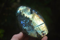 Polished Labradorite Standing Free Forms x 2 From Madagascar - Toprock Gemstones and Minerals