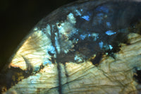 Polished Labradorite Standing Free Forms x 2 From Madagascar - Toprock Gemstones and Minerals