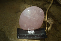 Polished Rose Quartz Standing Free Forms x 4 From Madagascar - Toprock Gemstones and Minerals