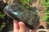 Polished Labradorite Standing Free Forms x 2 From Tulear, Madagascar - Toprock Gemstones and Minerals
