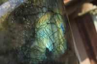 Polished Labradorite Standing Free Forms x 2 From Tulear, Madagascar - Toprock Gemstones and Minerals