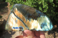 Polished Labradorite Standing Free Forms x 2 From Tulear, Madagascar - Toprock Gemstones and Minerals