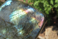 Polished Labradorite Standing Free Forms x 2 From Tulear, Madagascar - Toprock Gemstones and Minerals