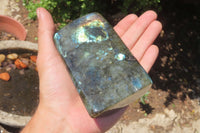 Polished Labradorite Standing Free Forms x 2 From Tulear, Madagascar - Toprock Gemstones and Minerals