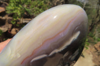 Polished Snow / Orca Agate Standing Free Forms x 2 From West Coast, Madagascar - Toprock Gemstones and Minerals