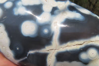 Polished Snow / Orca Agate Standing Free Forms x 2 From West Coast, Madagascar - Toprock Gemstones and Minerals