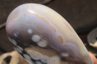 Polished Snow / Orca Agate Standing Free Forms x 2 From West Coast, Madagascar - Toprock Gemstones and Minerals