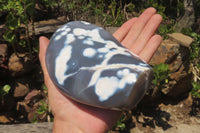 Polished Snow / Orca Agate Standing Free Forms x 2 From West Coast, Madagascar - Toprock Gemstones and Minerals
