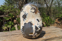Polished Snow / Orca Agate Standing Free Forms x 2 From West Coast, Madagascar - Toprock Gemstones and Minerals
