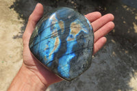 Polished Labradorite Standing Free Form x 1 From Tulear, Madagascar - Toprock Gemstones and Minerals