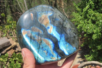 Polished Labradorite Standing Free Form x 1 From Tulear, Madagascar - Toprock Gemstones and Minerals