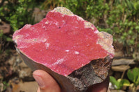 Natural Salrose Cobaltion Dolomite Specimens x 3 From Kakanda, Congo - Toprock Gemstones and Minerals