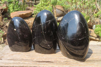 Polished Black Tourmaline Standing Free Forms x 3 From Madagascar - Toprock Gemstones and Minerals