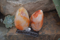 Polished Carnelian Standing Free Forms x 4 From Madagascar - Toprock Gemstones and Minerals