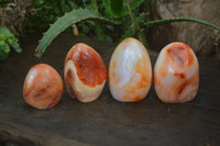 Polished Carnelian Standing Free Forms x 4 From Madagascar - Toprock Gemstones and Minerals