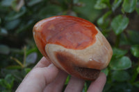 Polished Carnelian Standing Free Forms x 4 From Madagascar - Toprock Gemstones and Minerals