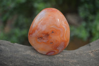 Polished Carnelian Standing Free Forms x 4 From Madagascar - Toprock Gemstones and Minerals