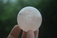 Polished Rose Quartz Spheres x 6 From Madagascar - Toprock Gemstones and Minerals