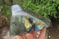 Polished Labradorite Standing Free Forms x 2 From Tulear, Madagascar - Toprock Gemstones and Minerals