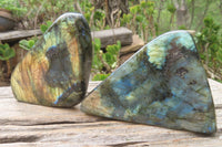 Polished Labradorite Standing Free Forms x 2 From Tulear, Madagascar - Toprock Gemstones and Minerals