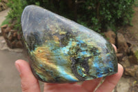Polished Labradorite Standing Free Forms x 2 From Tulear, Madagascar - Toprock Gemstones and Minerals