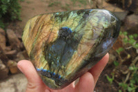 Polished Labradorite Standing Free Forms x 2 From Tulear, Madagascar - Toprock Gemstones and Minerals