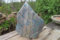 Polished Blue Spinel Spotted Quartz Leaf Sculptures x 2 From Madagascar - Toprock Gemstones and Minerals