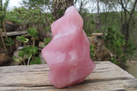 Polished Rose Quartz Flame Sculpture x 1 From Madagascar - Toprock Gemstones and Minerals