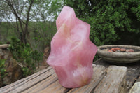 Polished Rose Quartz Flame Sculpture x 1 From Madagascar - Toprock Gemstones and Minerals