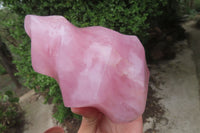 Polished Rose Quartz Flame Sculpture x 1 From Madagascar - Toprock Gemstones and Minerals