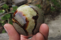 Polished Septerye Spheres x 6 From Mahajanga, Madagascar - Toprock Gemstones and Minerals