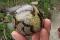 Polished Septerye Spheres x 6 From Mahajanga, Madagascar - Toprock Gemstones and Minerals