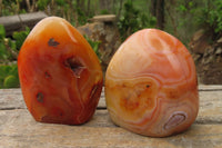 Polished Carnelian Standing Free Forms x 6 From Madagascar - Toprock Gemstones and Minerals