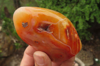 Polished Carnelian Standing Free Forms x 6 From Madagascar - Toprock Gemstones and Minerals