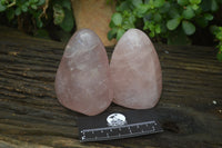 Polished Rose Quartz Standing Free Forms x 4 From Madagascar - Toprock Gemstones and Minerals