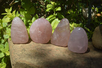 Polished Rose Quartz Standing Free Forms x 4 From Madagascar - Toprock Gemstones and Minerals