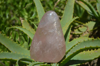 Polished Rose Quartz Standing Free Forms x 4 From Madagascar - Toprock Gemstones and Minerals