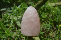 Polished Rose Quartz Standing Free Forms x 4 From Madagascar - Toprock Gemstones and Minerals