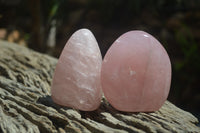 Polished Rose Quartz Standing Free Forms x 4 From Madagascar - Toprock Gemstones and Minerals