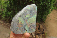 Polished Labradorite Standing Free Forms x 2 From Tulear, Madagascar - Toprock Gemstones and Minerals