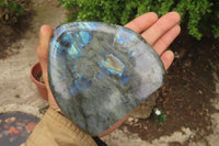Polished Labradorite Standing Free Forms x 2 From Tulear, Madagascar - Toprock Gemstones and Minerals