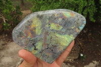 Polished Labradorite Standing Free Forms x 2 From Tulear, Madagascar - Toprock Gemstones and Minerals