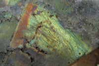 Polished Labradorite Standing Free Forms x 2 From Tulear, Madagascar - Toprock Gemstones and Minerals